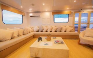 Seaman Catamaran Living Room