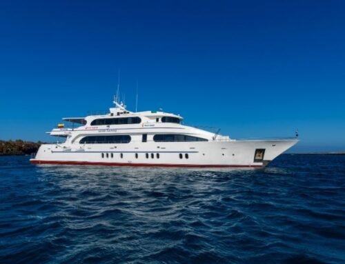 Grand Daphne Cruise