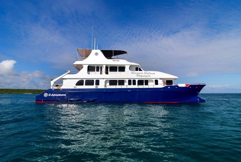 Reina Silvia Voyager 2