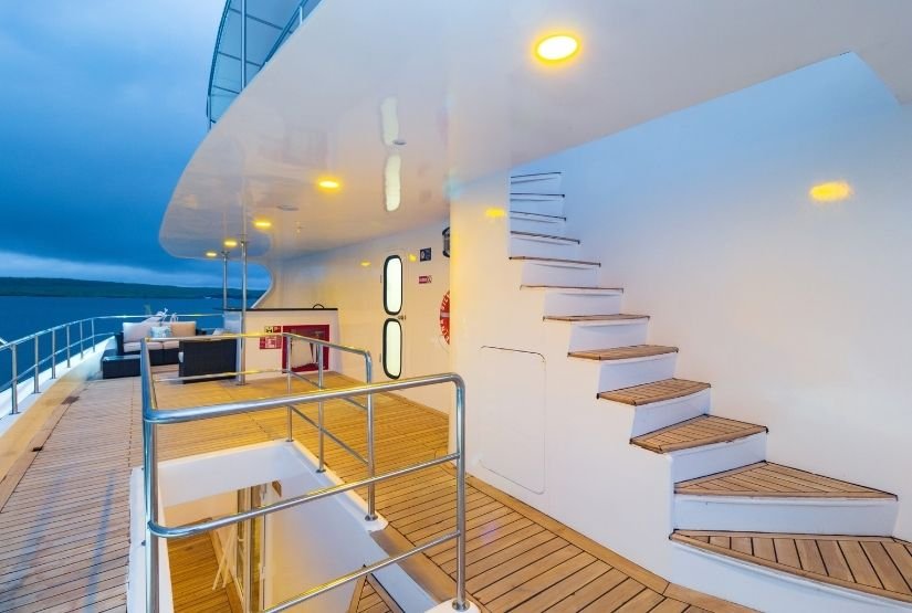 Reina silvia voyager stands