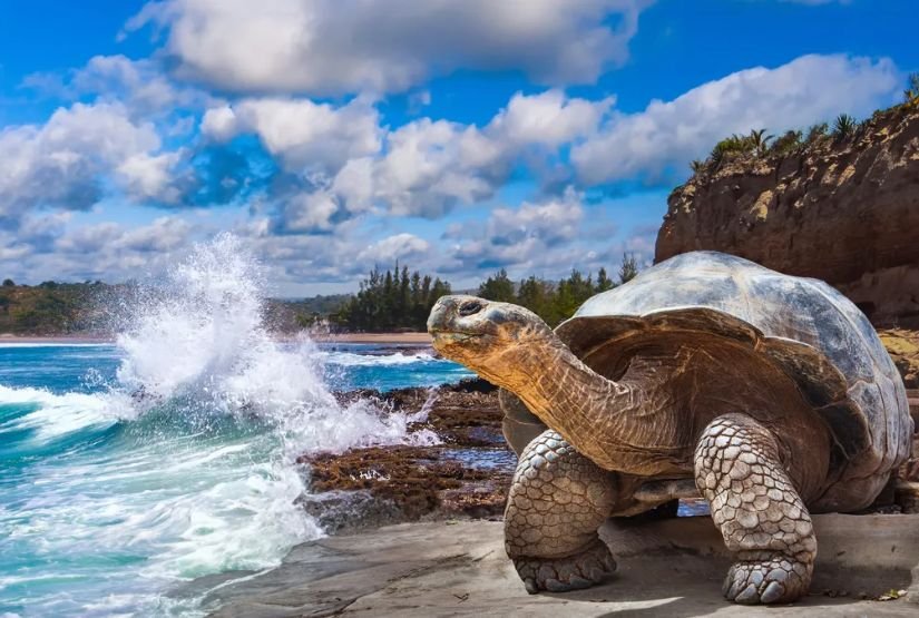 ecuador and galapagos tour