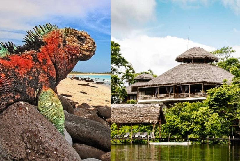 galapagos and jungle tour for families
