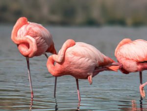 Galapagos tour 3 days