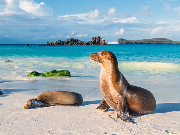 Española day trip galapagos