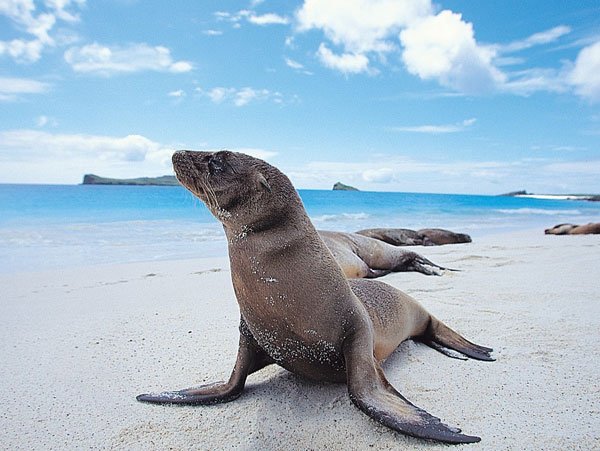 Galapagos Tours