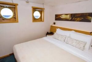 legend standar cabin plus