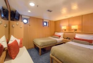 legend standar plus (2)