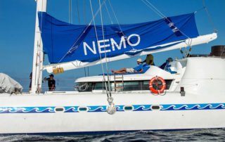 Nemo II Catamaran