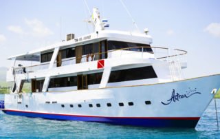 Astrea Yacht Deck Plans
