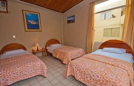 Palmeras Hotel