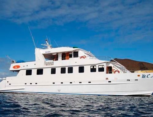 Anahi Yacht Galapagos