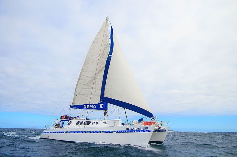 Nemo II Catamaran