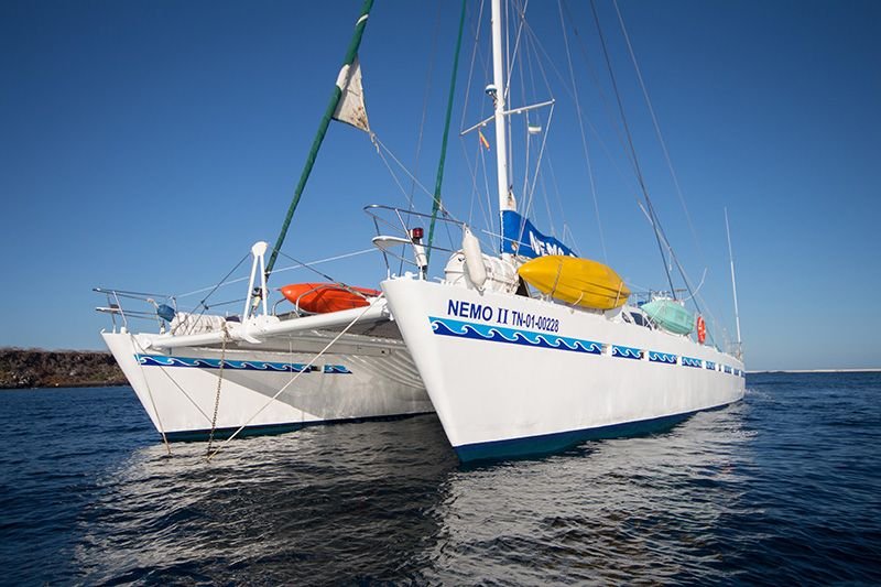Nemo II Catamaran