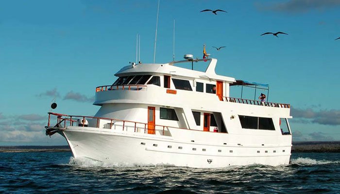 Darwin Yacht Deck Plans