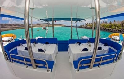 NEMO I SOCIAL AREAS 2 (1)