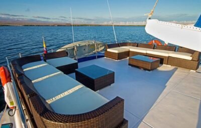 NEMO I SOCIAL AREAS 4 (2)