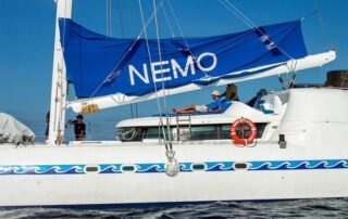 NEMO I SOCIAL AREAS 5 (1)