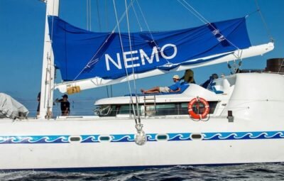 NEMO I SOCIAL AREAS 5 (1)