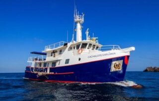 cachalote explorer galapagos