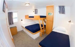 cachalote explorer lower double