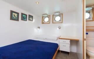 cachalote explorer lower single