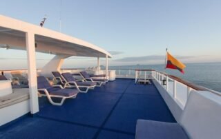Millenium Catamaran Sundeck