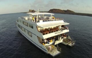 Millenium Catamaran galapagos