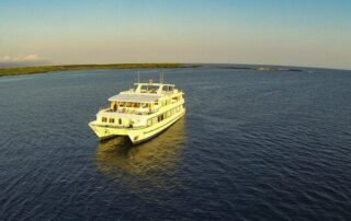 Millenium Catamaran gps