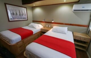 Millennium Catamaran Twind bed cabin