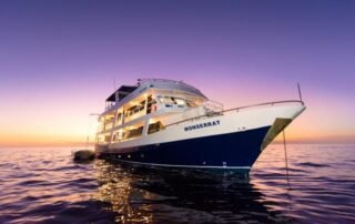 monserrat yacht night