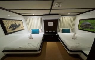 Anali Catamaran GPS Twin bed