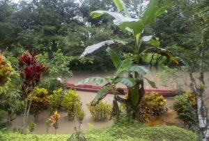 yakuma ecolodge tours