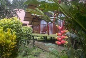 yakuma ecolodge garden
