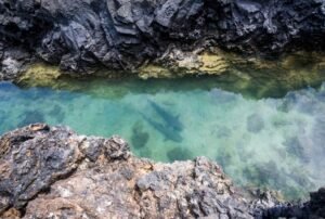 Galapagos tours 7 days