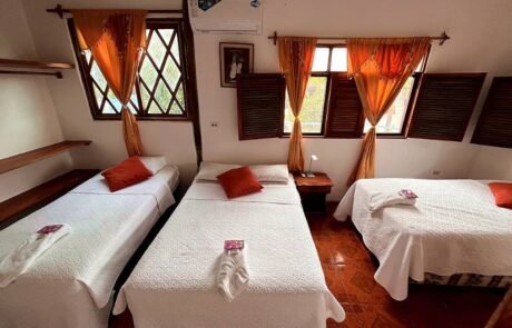 Hotel Las Gardenias Room