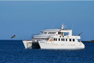Anahi Catamaran