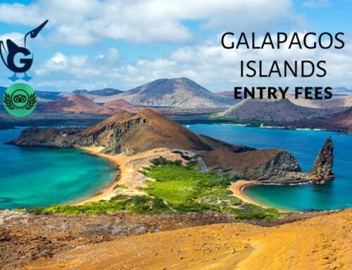 Las Islas Galápagos actualizan las tarifas de entrada para un turismo sostenible