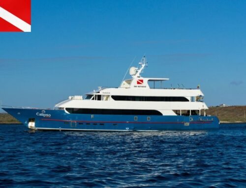 Calipso Diving Yacht