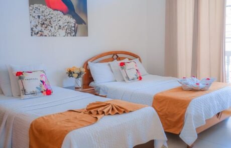 Hotel Costas Pacifico twin bed