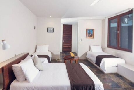 Escalesia Villa gps triple room