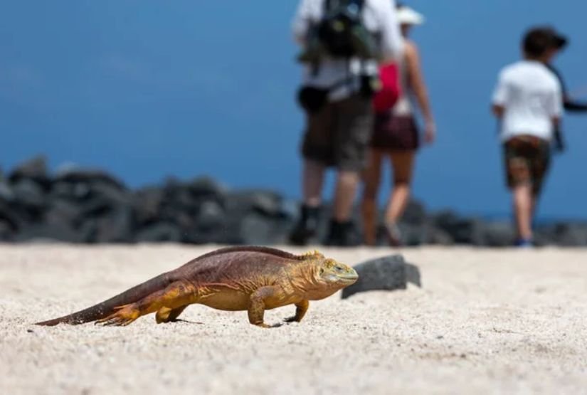 galapagos cruises 2027 best